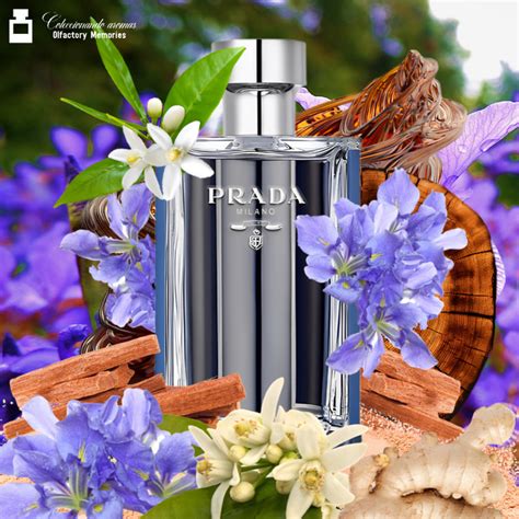 prada lhomme decant|prada l'homme eau.